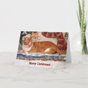 Carte de Noël pour mon chat "Ombre"