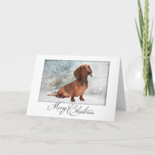 Carte de Noël pour teckel