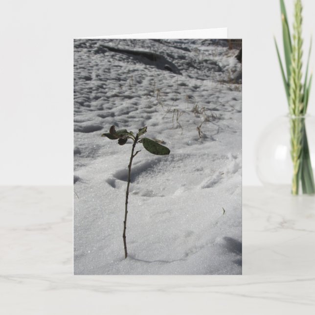 Carte de Noël "Pousse de neige" (Devant)