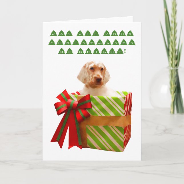 Carte de Noël Puppy Setter anglais (Devant)