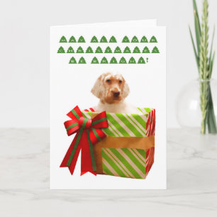 Carte de Noël Puppy Setter anglais