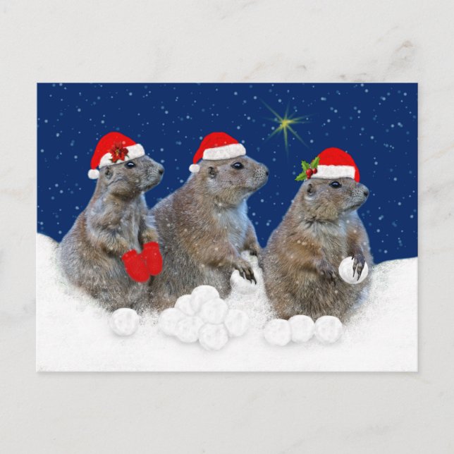 Carte de Noël : Qu'il neige (Devant)