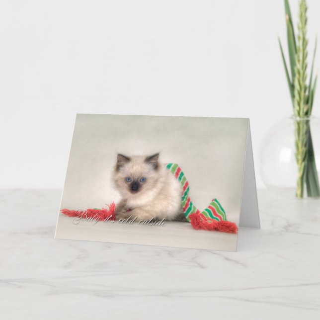 Carte de Noël Ragdoll (Devant)