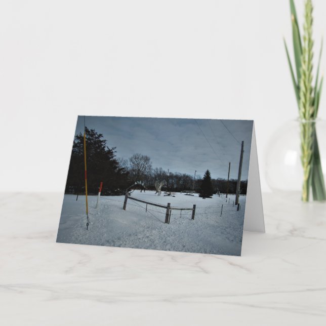 Carte de Noël "Rampage in the Park" (Devant)