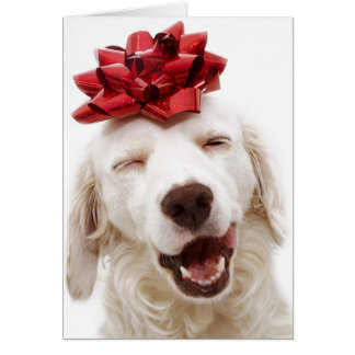 CARTE DE NOËL RÉCUPÉRATION BLANCHE AVEC ROUGE