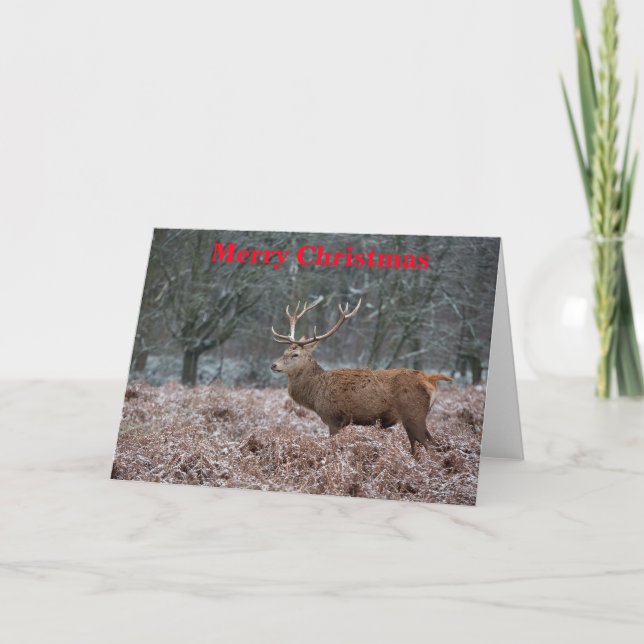Carte de Noël Red Deer (Devant)
