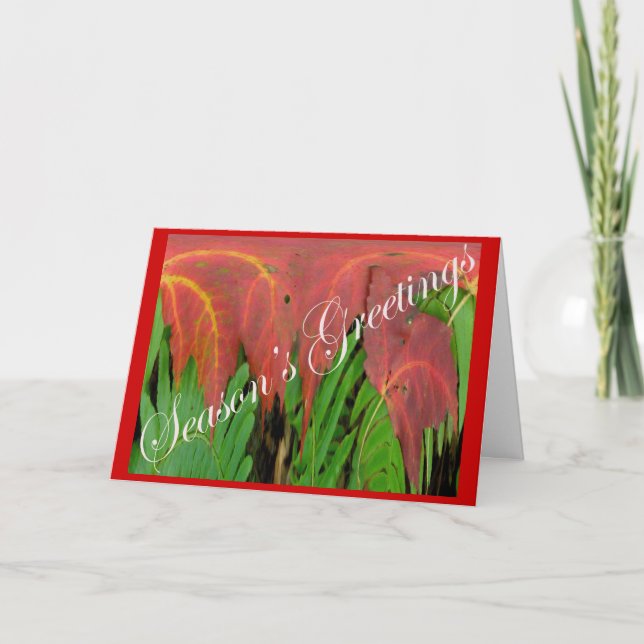 Carte de Noël Red Leaf & Fern (Devant)