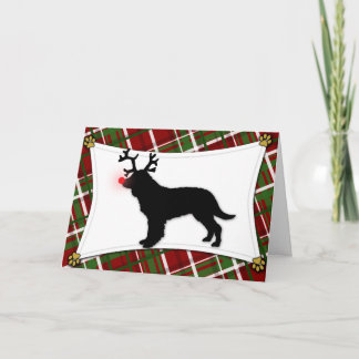 Carte de Noël Reindeer American Water Spaniel