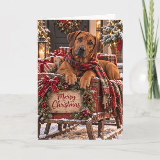 Carte de Noël Rhodesian Ridgeback