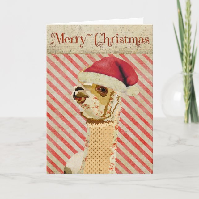 Carte de Noël rose Alpaca (Devant)