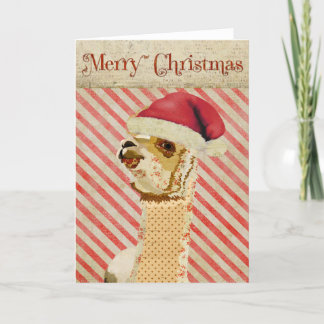 Carte de Noël rose Alpaca