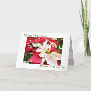 Carte de Noël Rouge et Blanc Poinsettia