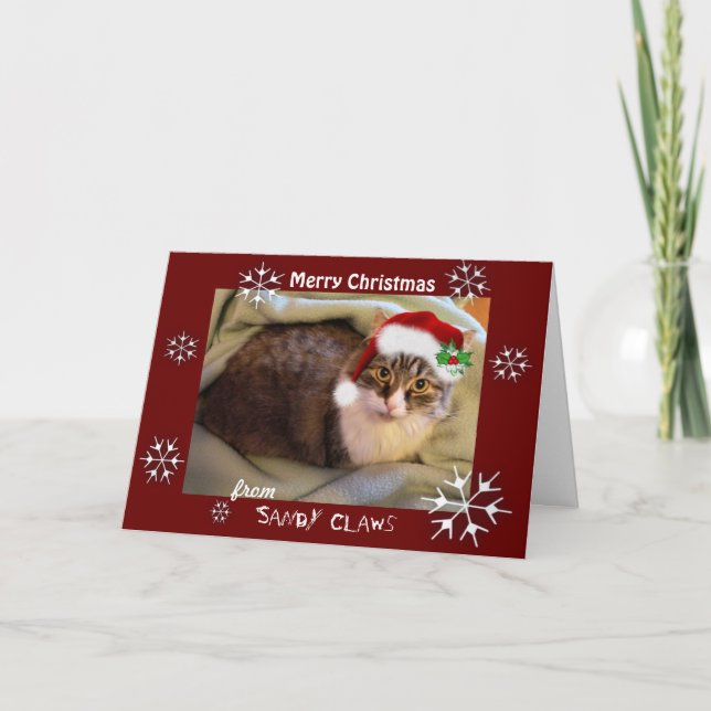 Carte de Noël "Sandy Claws" (Devant)