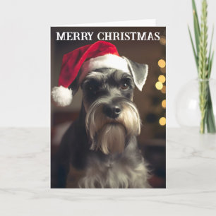 Carte de Noël Schnauzer miniature