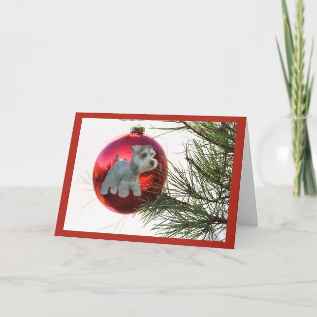 Carte de Noël Schnauzer miniature Suspension de la (Devant)