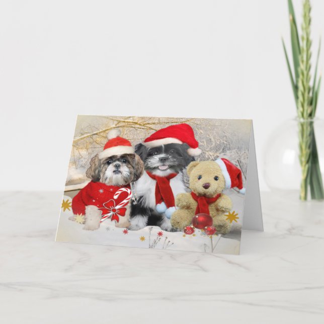 Carte de Noël Shih Tzu & Teddy Bear (Devant)