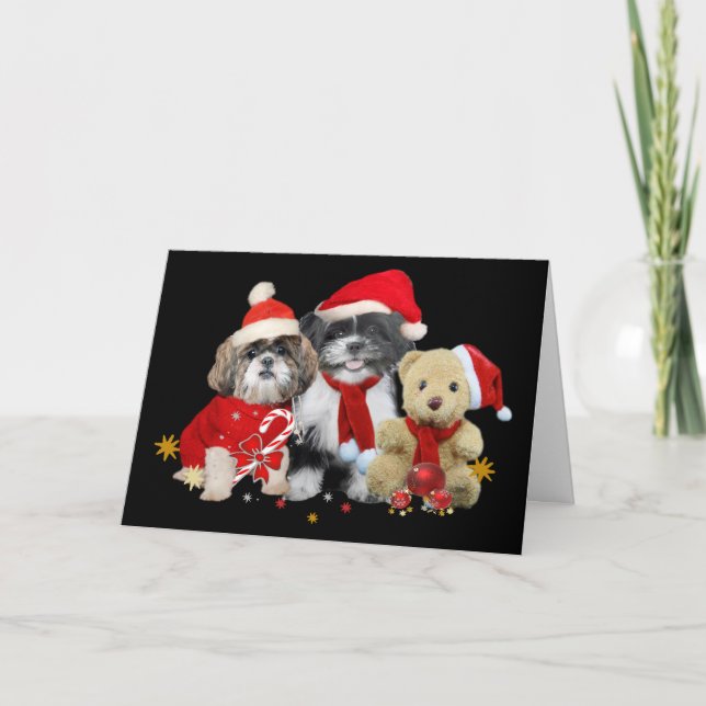 Carte de Noël Shih Tzu & Teddy Bear (Devant)