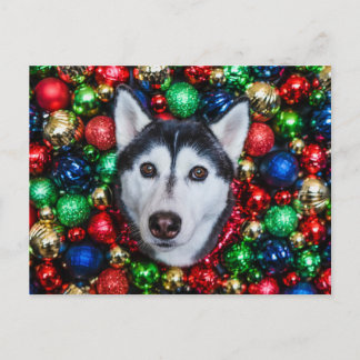 Carte de Noël Sibérienne Husky