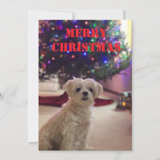 Carte de Noël simple et audacieuse (Devant)