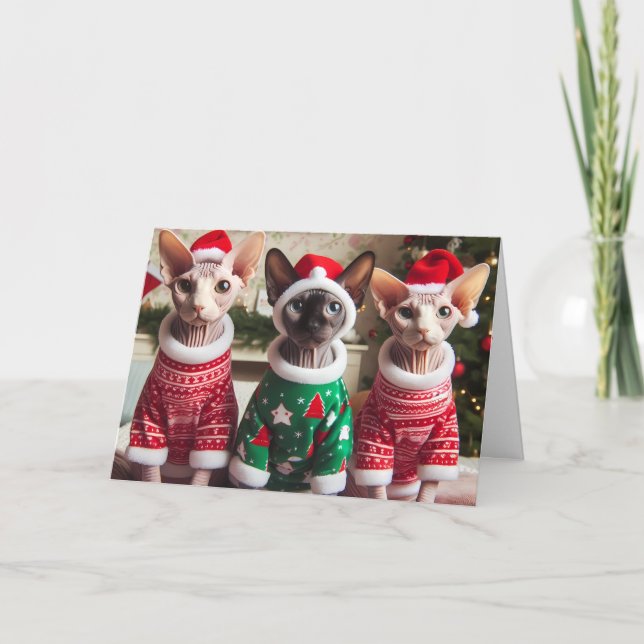 Carte de Noël Sphynx Kittens (Devant)
