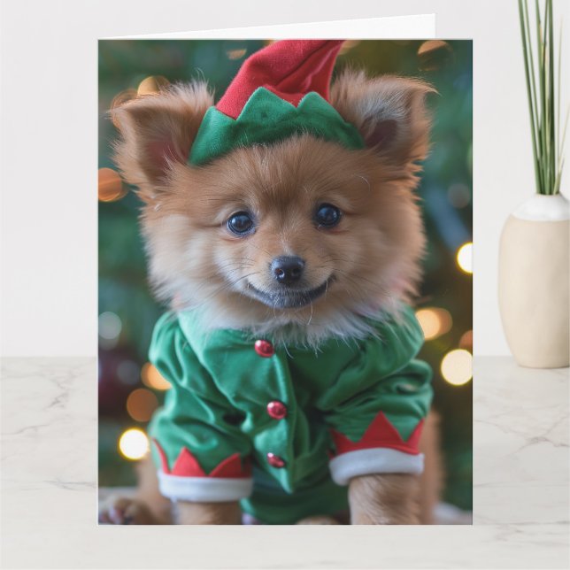 Carte de Noël Spitz Elf Puppy allemande (Devant)