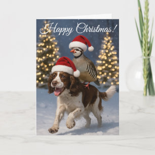 Carte de Noël Springer Spaniel chien de chasse & P