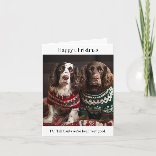 Carte de Noël Springer Spaniel Dogs (Devant)