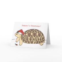 Carte de Noël Star Tortoise personnalisée