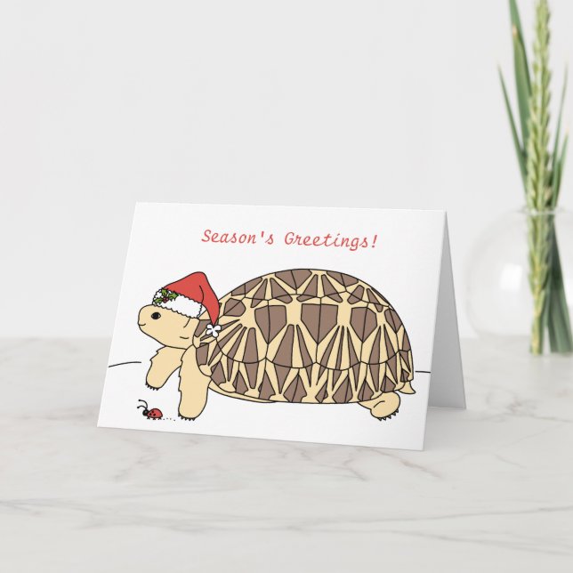 Carte de Noël Star Tortoise personnalisée (Devant)