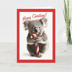 Carte de Noël sucre de canne Koala