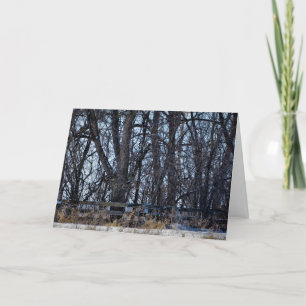 Carte de Noël "Sur le chemin de la mémoire"