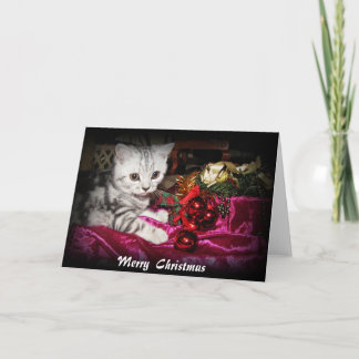 Carte de Noël tabby en argent