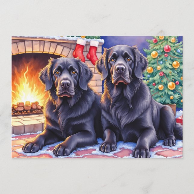 Carte de Noël Terre-Neuvien (Devant)