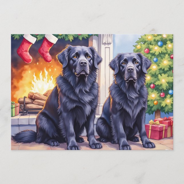 Carte de Noël Terre-Neuvien (Devant)