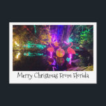 Carte de Noël tropicale<br><div class="desc">Flamingo Christmas lights for a whimsical tropical holiday card. Texte can moi edited. Please email me if you need help rachhphotography.com@gmail.com</div>