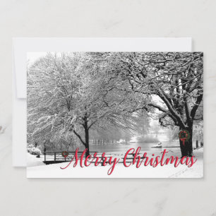 Carte de Noël Waverly Park