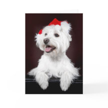 Carte de Noël West Highland White Terrier