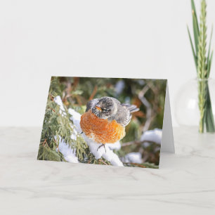 Carte de Noël Winter Robin