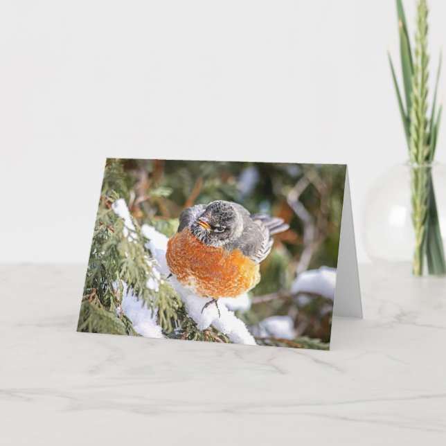 Carte de Noël Winter Robin (Devant)