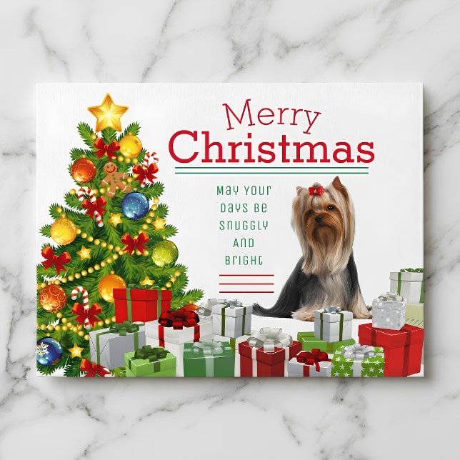 Carte de Noël Yorkshire Terrier (Yorkshire Terriers make the season bright.)