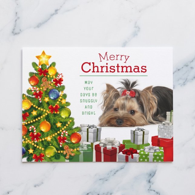 Carte de Noël Yorkshire Terrier (Yorkshire Terriers make the season bright.)
