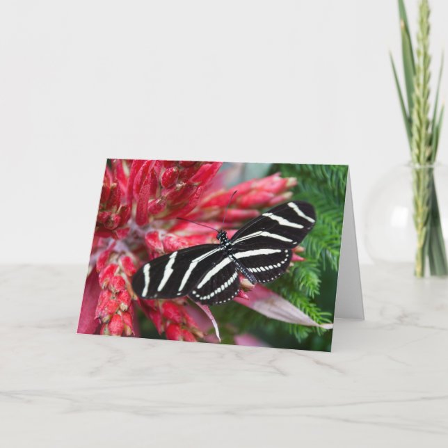 Carte de Noël Zebra Longwing (Devant)