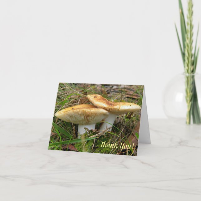 Carte de note à champignons doubles (Devant)