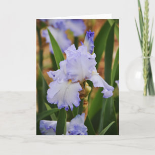 Carte de note à fleurs Perwinkle bleu Iris
