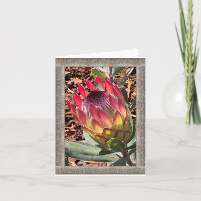 Carte de note à toute occasion avec belle Protea (Devant)