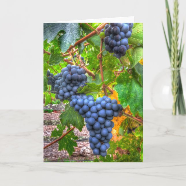 Carte de note Abstraite vierge Napa Grapes (Devant)