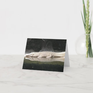 Carte de note Alligator blanc