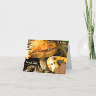 Carte de note aux champignons sauvages