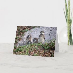 Carte de note avec Chevêche de terrière