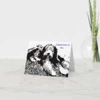 Carte de note barbue de colley